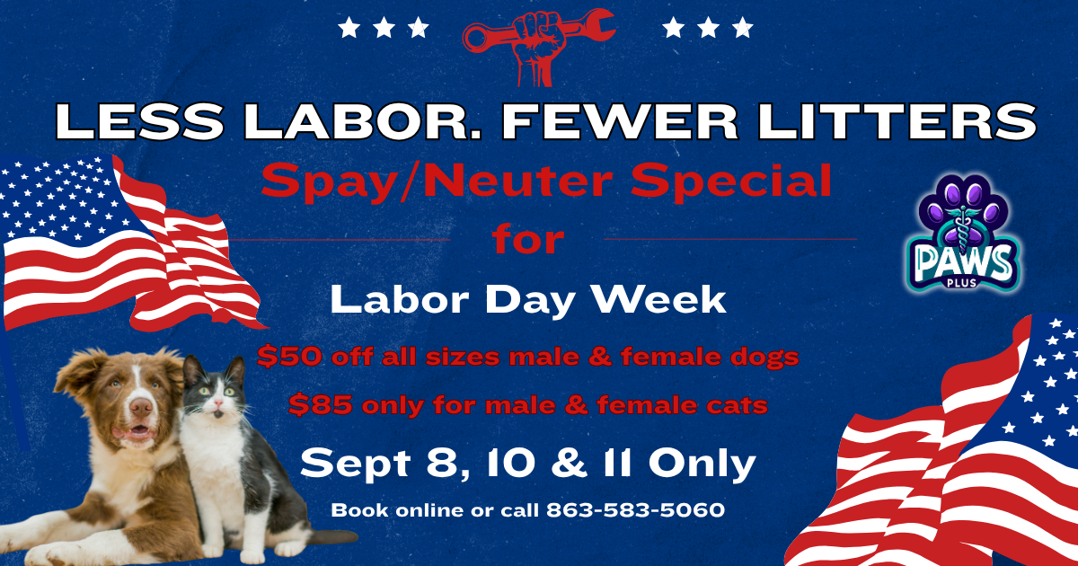 Labor Day Veterinary
