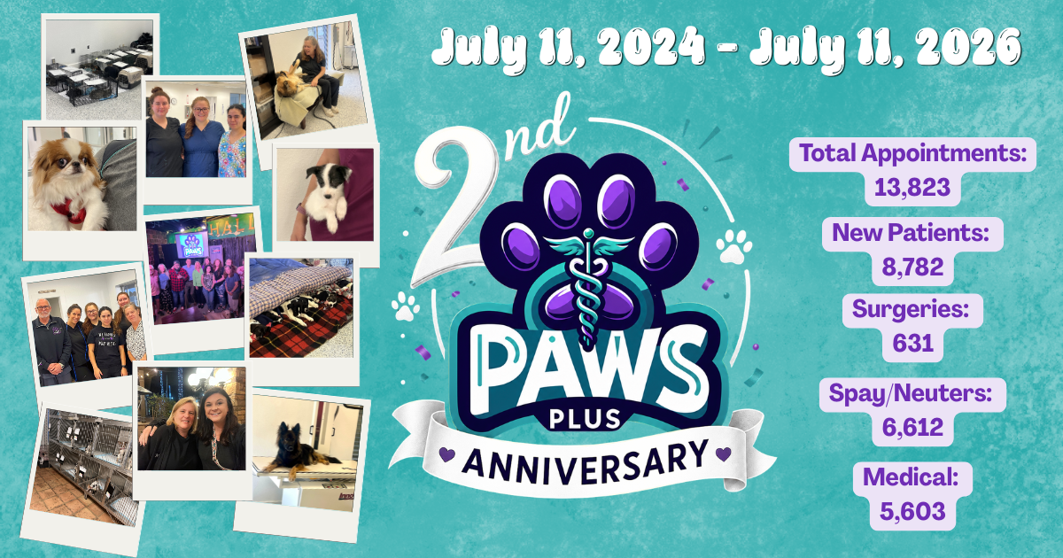Paws Plus Veterinary 2 Year Anniversary