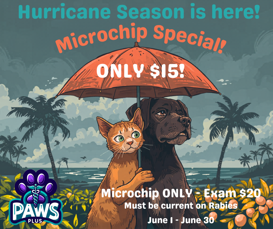 Hurricane Microchip