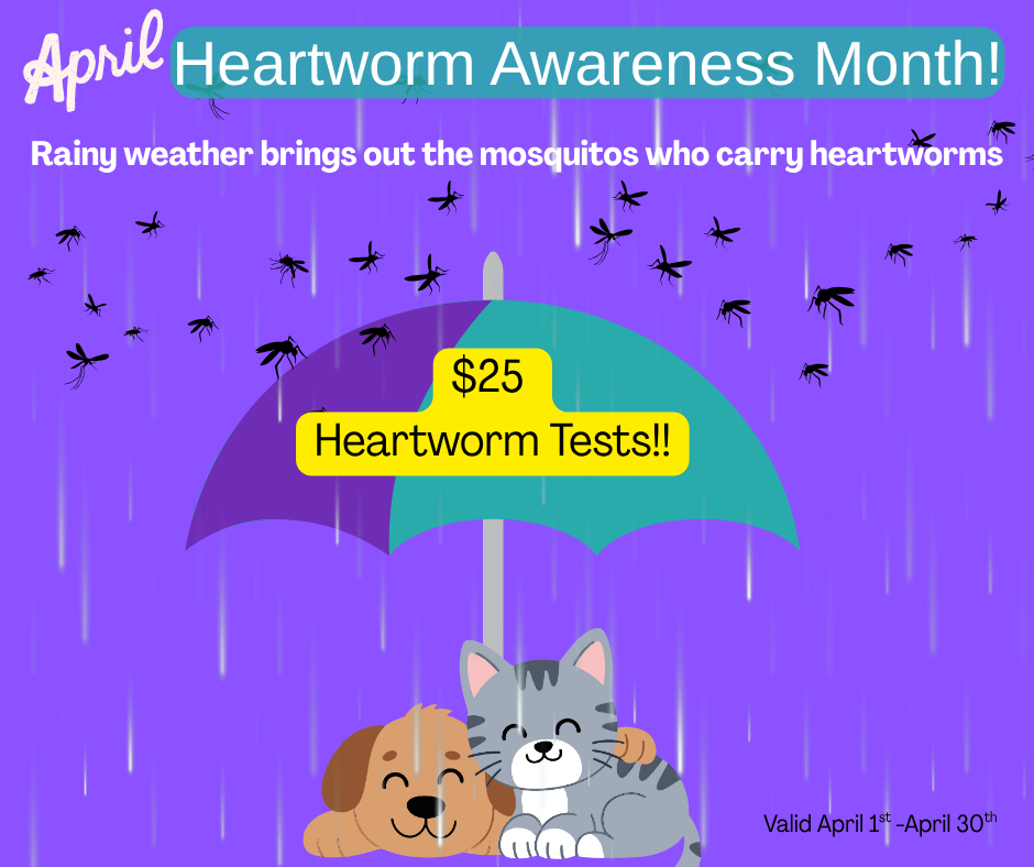 Paws Plus Vet April 2026 Popup