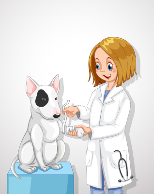 Dr. Karyl Stock