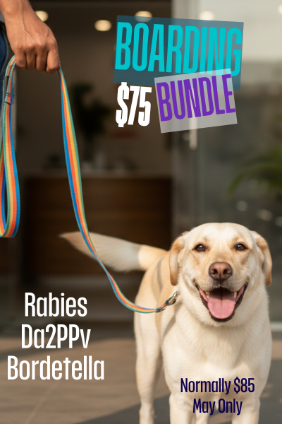Veterinary Specials